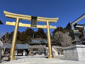 金色に輝く鳥居いつ見てもご利益倍増感が😅